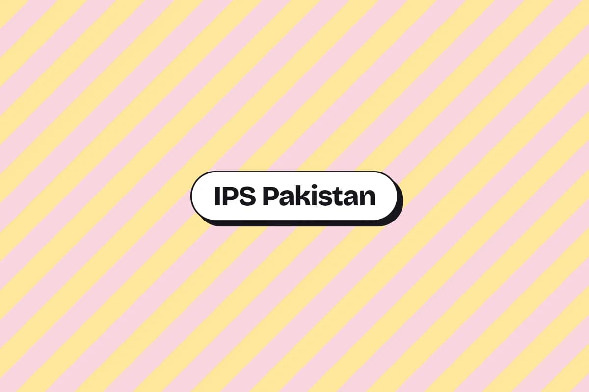 IPS Pakistan sold smart POS software. Their website sold a Wix template.